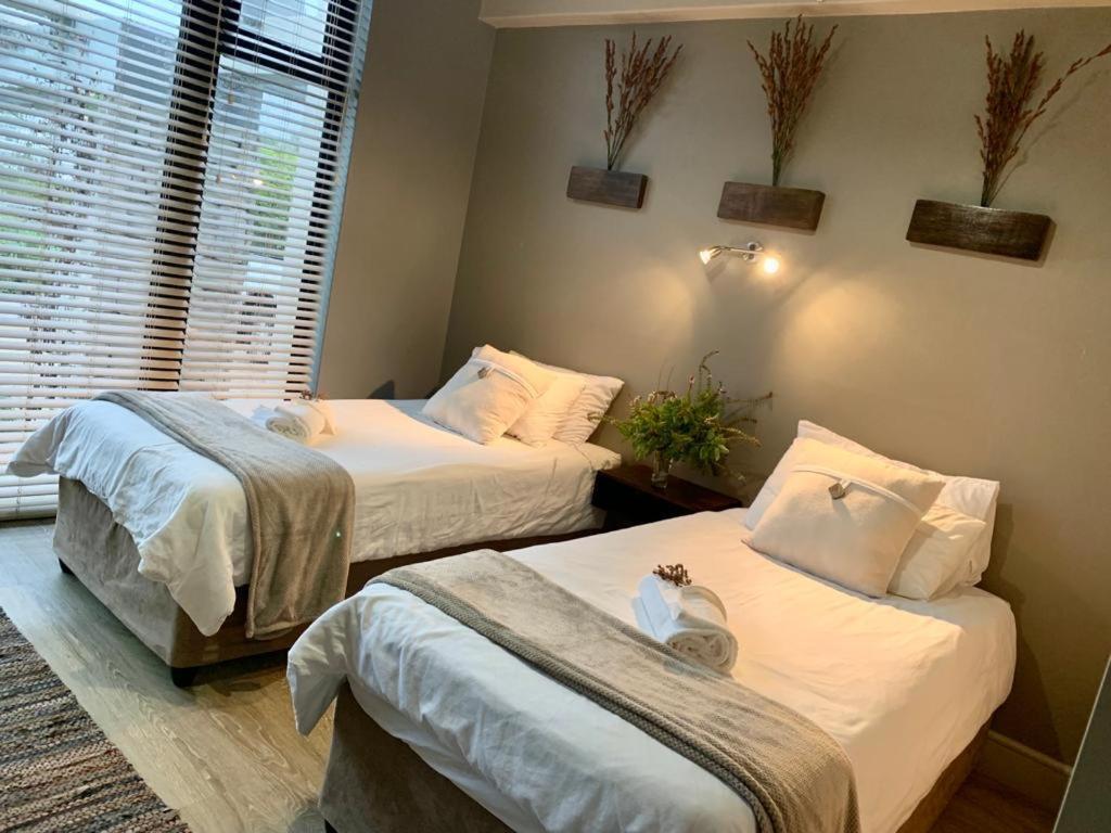 Vila House Vos Hermanus Exteriér fotografie